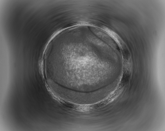 X0000097891100200803211350