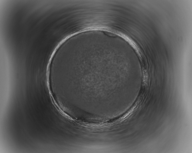 X0000097891102200803211350