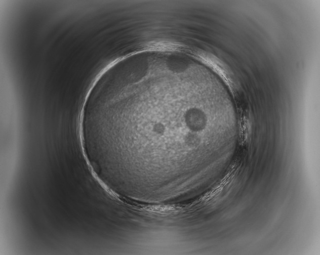 X0000097891103200803211350