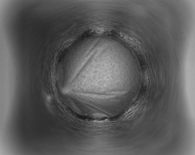 X0000097891105200803211350