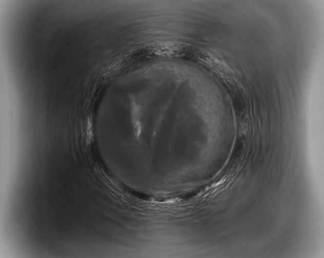 X0000097891106200803211350