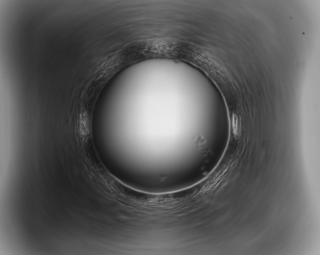 X0000097891107200803211350