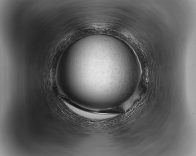 X0000097891110200803211350