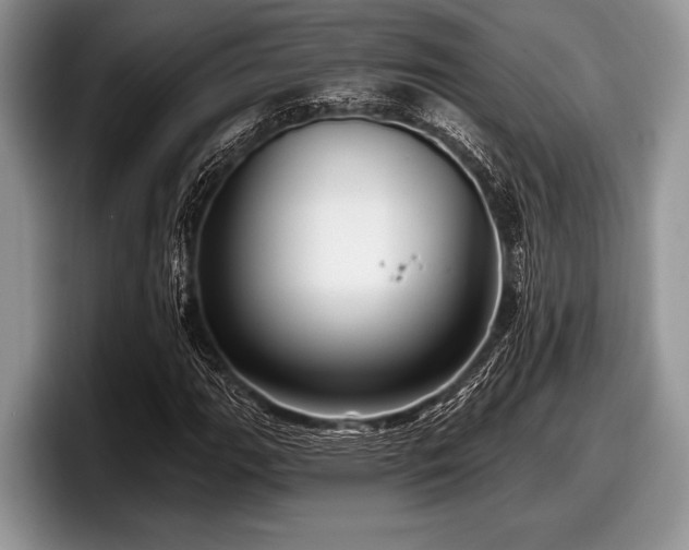 X0000097891111200803211350