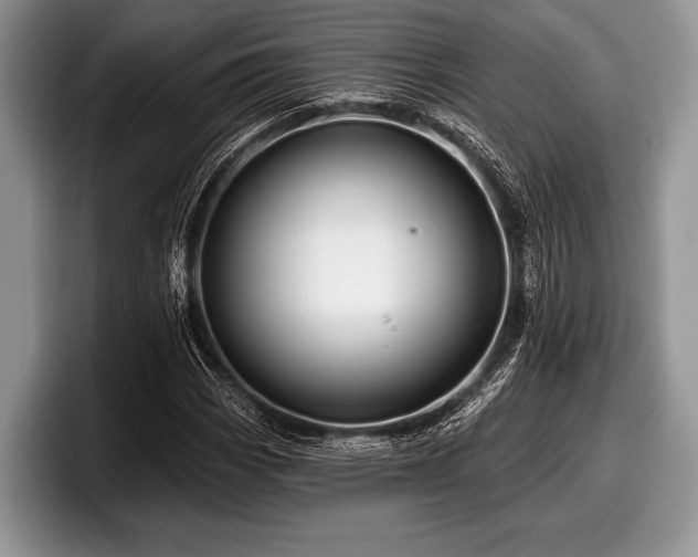 X0000097891113200803211350