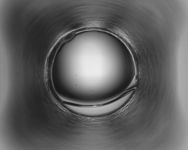 X0000097891116200803211350