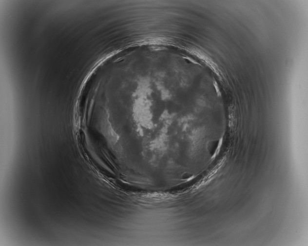 X0000097891117200803211350