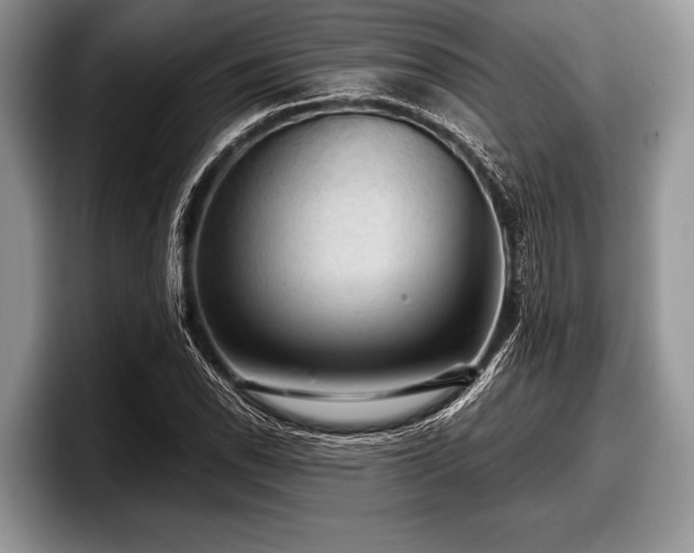 X0000097891118200803211350