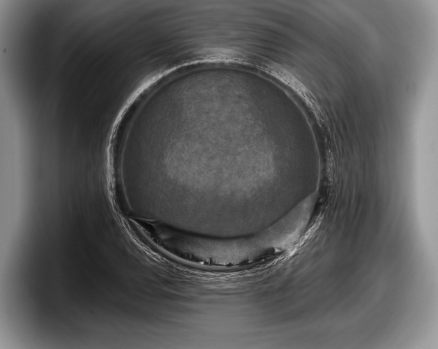 X0000097891120200803211350