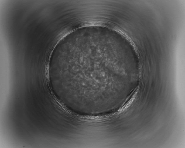 X0000097891121200803211350