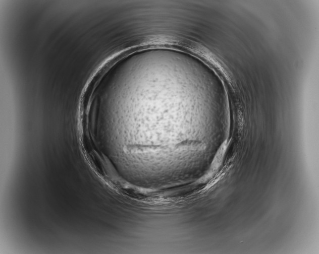 X0000097891124200803211350