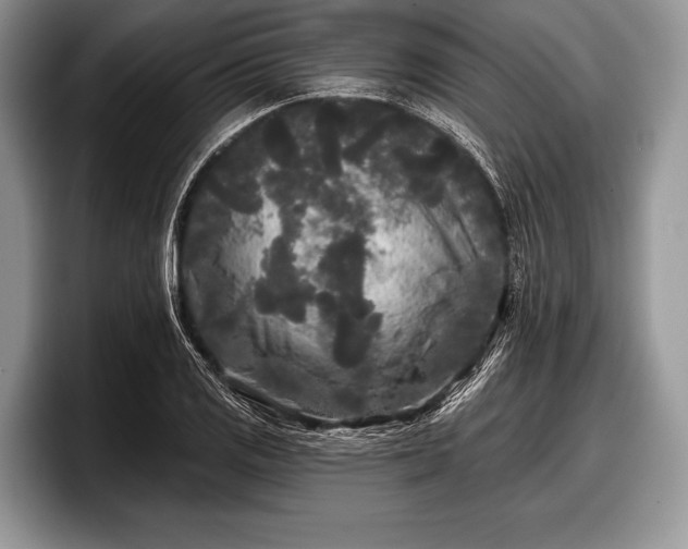 X0000097891125200803211350