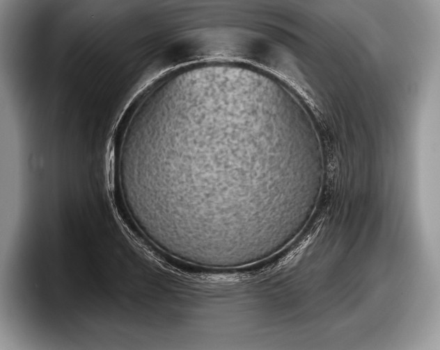 X0000097891126200803211350