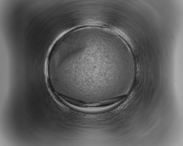 X0000097891128200803211350