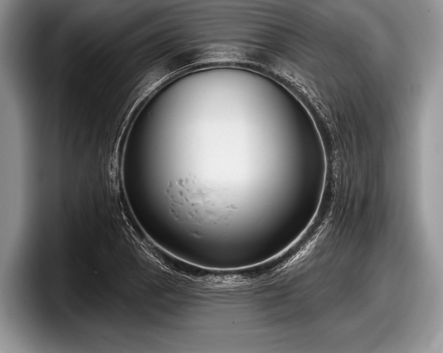 X0000097891129200803211350