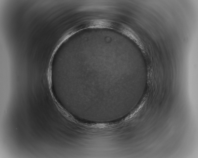 X0000097891130200803211350