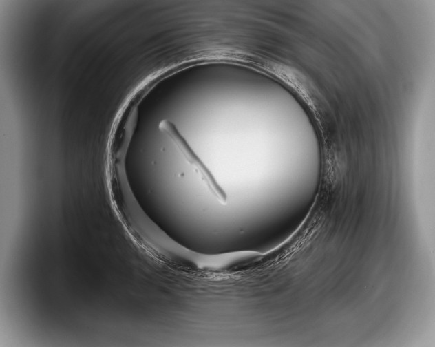 X0000097891136200803211350