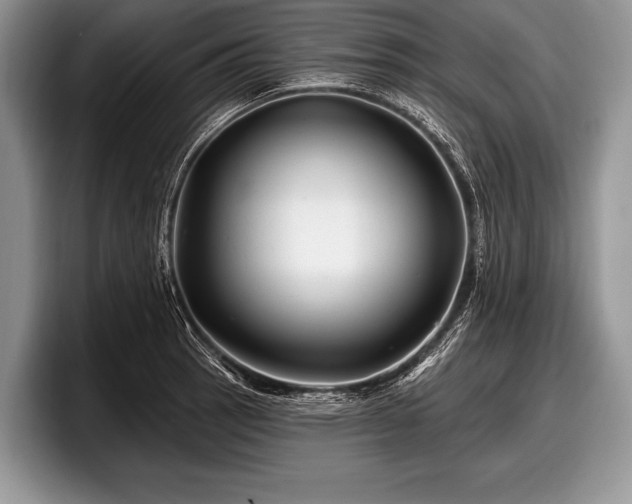 X0000097891137200803211350