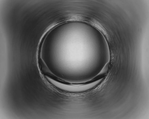 X0000097891138200803211350