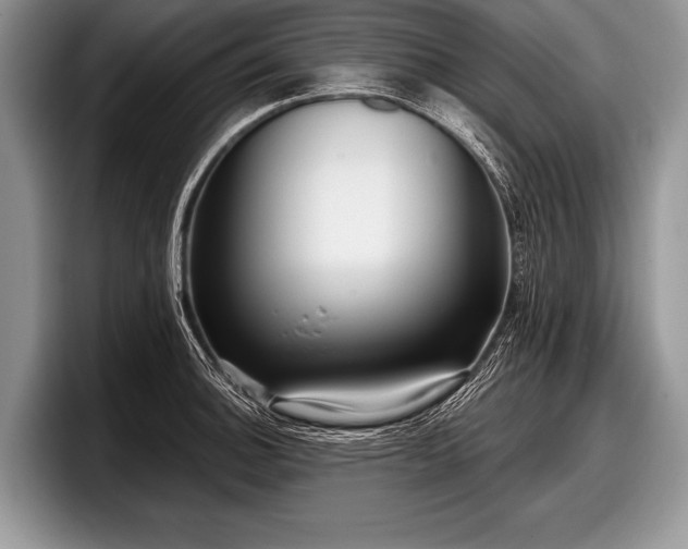 X0000097891140200803211350