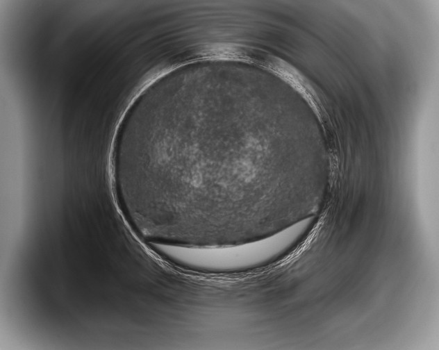 X0000097891141200803211350