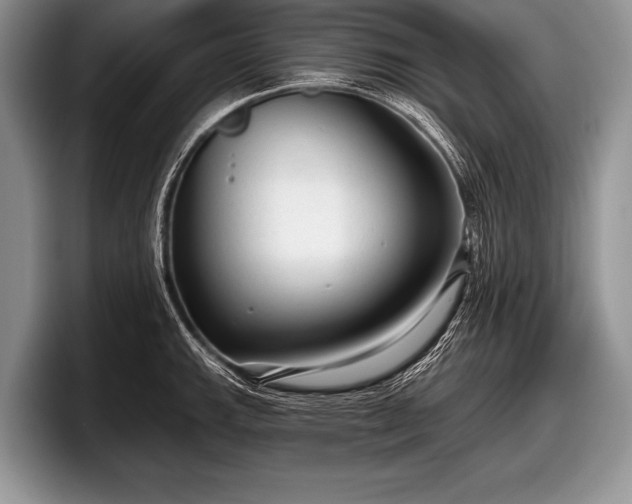 X0000097891143200803211350