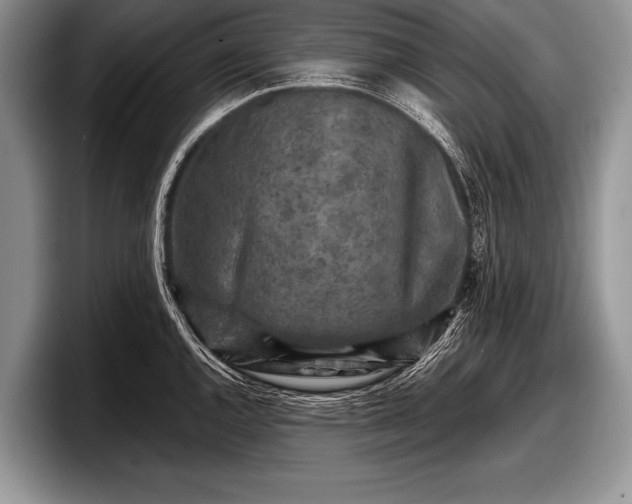 X0000097891144200803211350