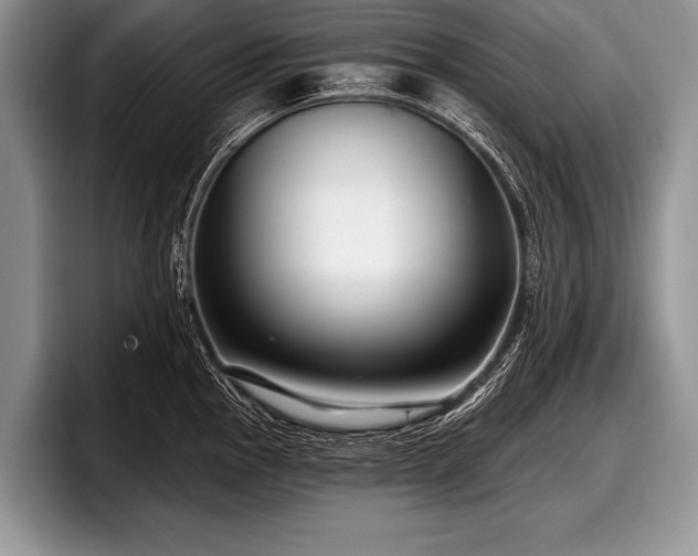 X0000097891145200803211350