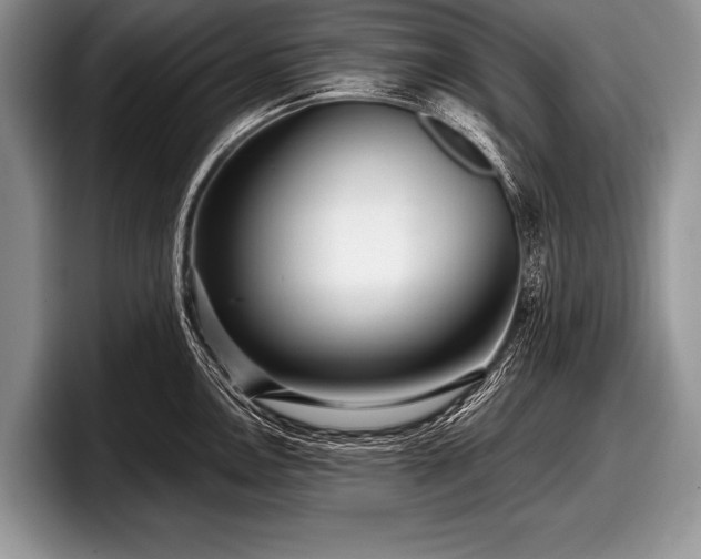 X0000097891146200803211350