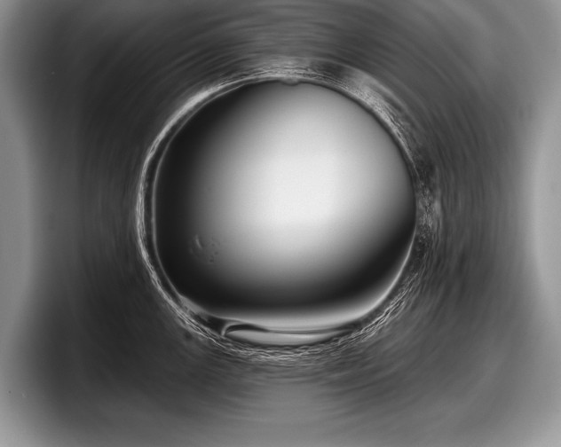 X0000097891147200803211350