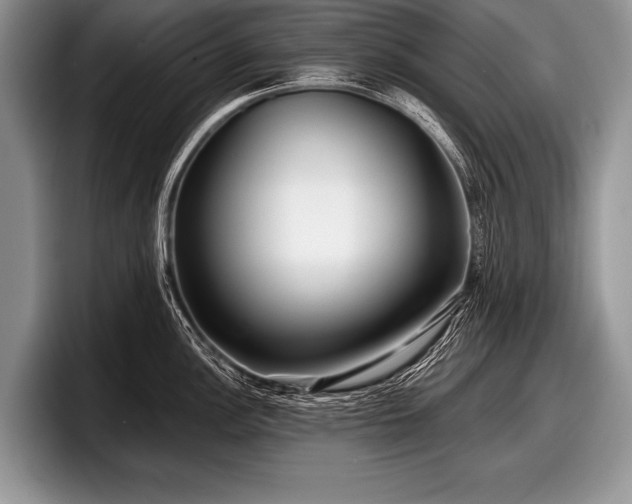 X0000097891148200803211350