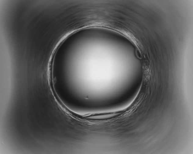 X0000097891151200803211350