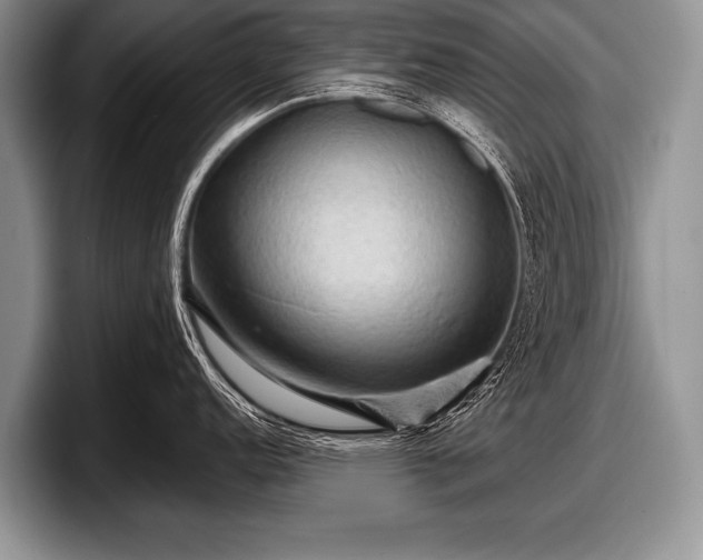 X0000097891152200803211350