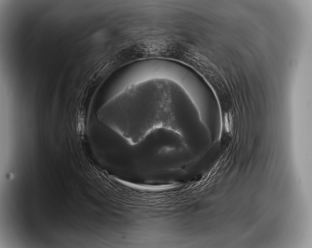 X0000097891155200803211350