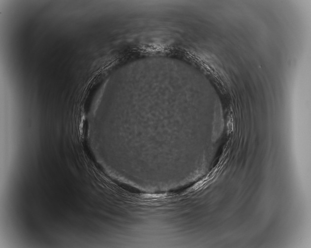 X0000097891156200803211350