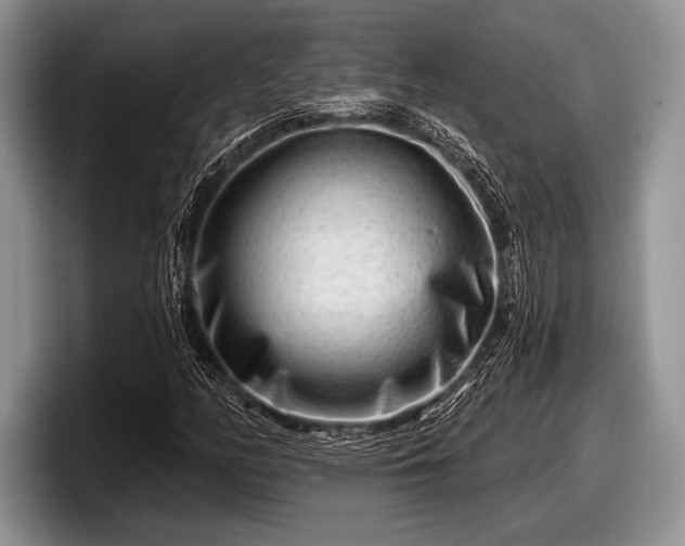 X0000097891158200803211350