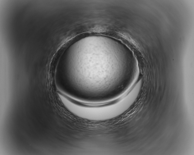 X0000097891160200803211349