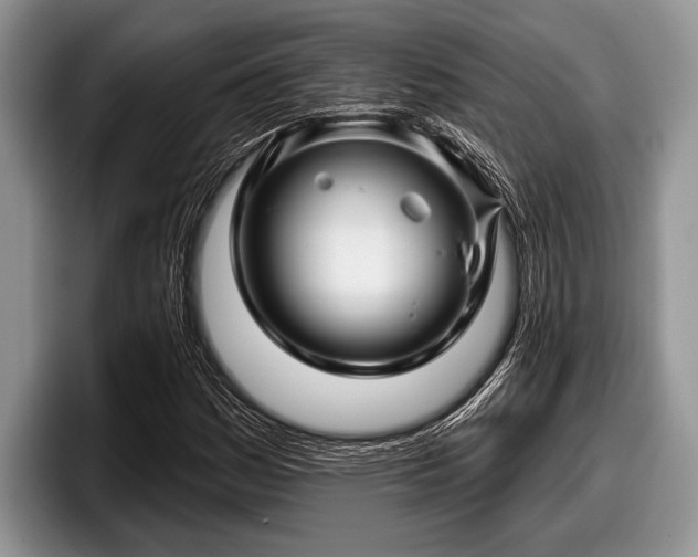 X0000097891161200803211349