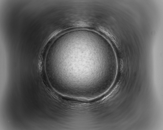 X0000097891163200803211349