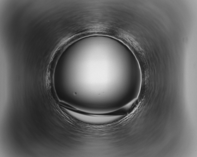 X0000097891164200803211349