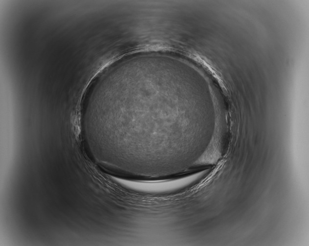 X0000097891165200803211349