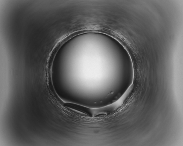 X0000097891168200803211349