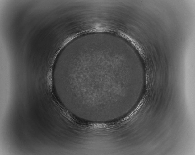 X0000097891170200803211349