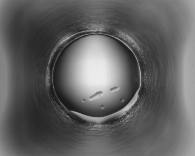 X0000097891172200803211349