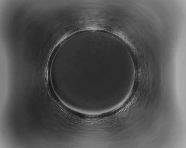 X0000097891173200803211349