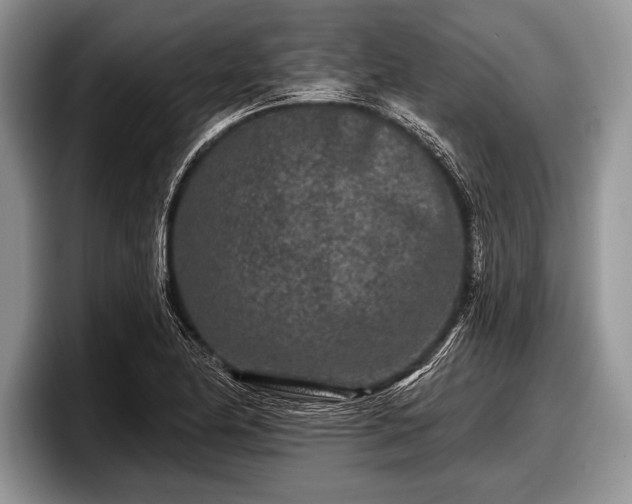 X0000097891174200803211349