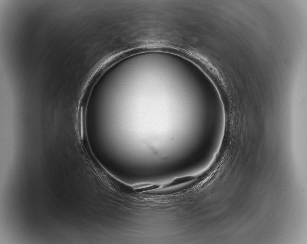 X0000097891175200803211349