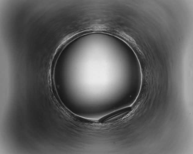 X0000097891176200803211349