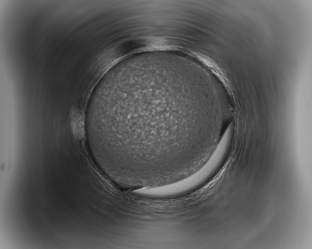 X0000097891177200803211349