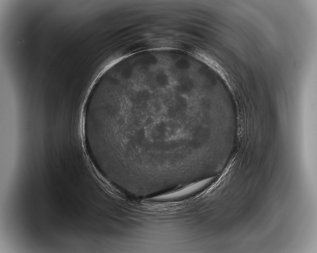 X0000097891179200803211349